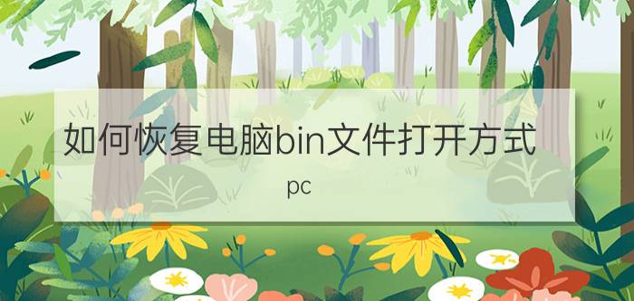 如何恢复电脑bin文件打开方式 pc_文件怎么彻底删除？